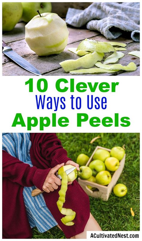 Apple Peel Recipe, Recipe Using Apples, Leftover Apples, Dehydrated Apples, Fried Apples, Dried Apples, Dehydrated Food, Reduce Food Waste, Apple Butter