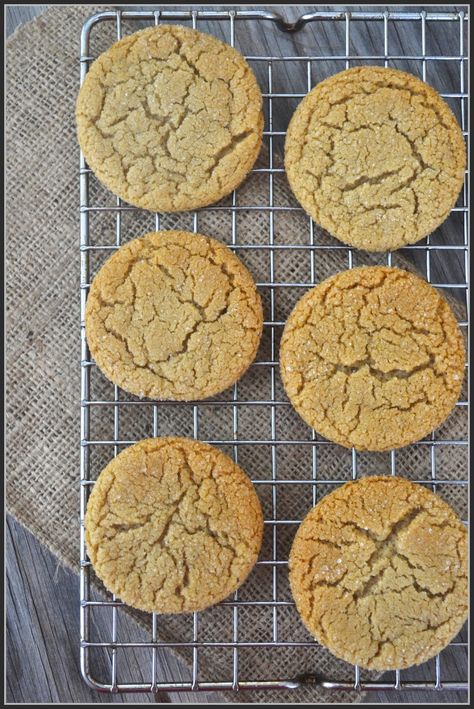 The Lazy Daisy Kitchen: flavorFALL - perfect gingersnaps (without molasses) Molasses Gingerbread Cookies, Gingerbread Cookies Without Molasses, Molasses Gingerbread, Spaghetti Squash Recipes Vegan, Daisy Kitchen, Beef Steak Recipes, Easy Christmas Treats, Ginger Biscuits, Ginger Snap Cookies