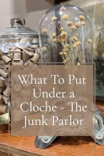 Ideas For Cloche, Vintage Cloche Decor, Farmhouse Cloche Ideas, Chicken Wire Cloche Decor, Glass Bell Jar Ideas, Tall Cloche Ideas, Spring Cloche Ideas Vignettes, Cloche Styling Glass Domes, Metal Cloche Decor