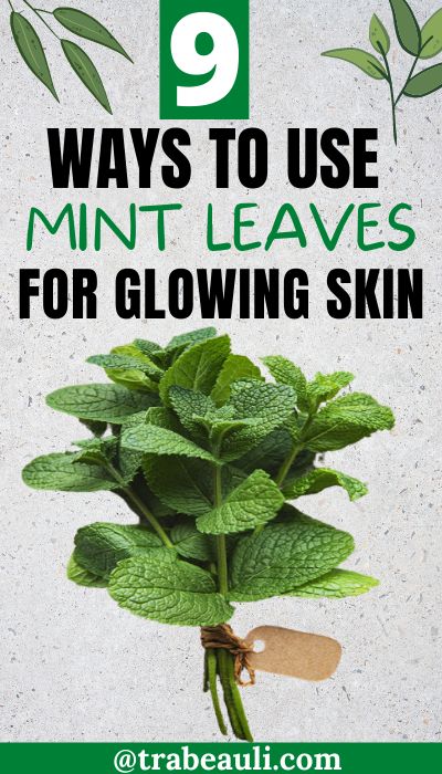 9 WAYS TO USE MINT LEAVES TO GET RID OF ACNE SCARS Uses For Mint Leaves, Mint Leaves Benefits, Medicinal Herbs Remedies, Mint Herb, Fresh Aloe Vera Gel, Natural Acne Remedies, Get Rid Of Acne, Rid Of Acne, How To Get Rid Of Pimples