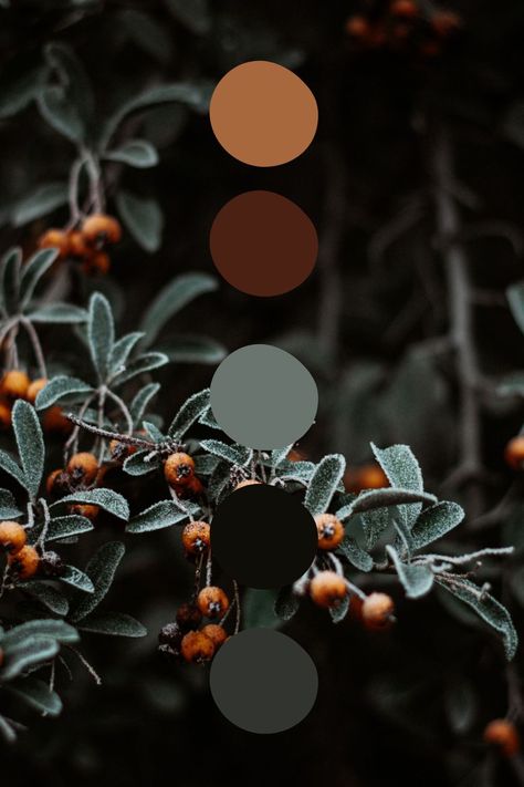 Fall Color Pallet 2023, Moody Home Paint Palette, Color Schemes Dark Academia, Moody Aesthetic Color Palette, Dark Boho Color Scheme, Fall Color Palette With Black, Dark Neutral Wedding Color Palette, Dark Bohemian Color Palette, Dark Bedroom Color Palettes