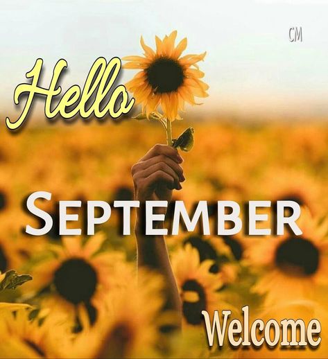 Good Morning! Happy Saturday. The first day of September. 🌻 #goodmorningpost #goodmorningworld #goodmorning #good #world #post #art #surfart #morningpost #gm #gmw #artsy #morningmotivation #morning #happyart #happy #september #helloseptember #sunflower #sunflowers #hello #artwork #waveart #summerlife #goodbyeaugust #surfing #welcome #labordayweekend #sunart #dopeshit First Day Of September, Good World, Welcome September, All The Months, Good Morning Happy Saturday, Good Morning Post, Happy September, Hello September, Good Morning World