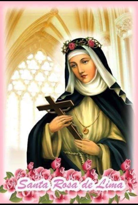 St Rita Of Cascia, St Rose Of Lima, St Catherine Of Siena, Mantilla Veil, Images Of Mary, Mama Mary, Religious Pictures, Family Problems, Santa Rita