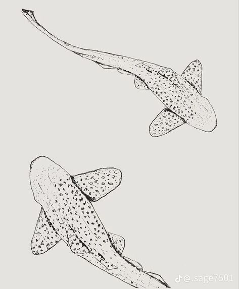 Leopard Shark Tattoos, Reef Shark Tattoo Simple, Fine Line Animal Drawing, Fineline Whale Shark Tattoo, Leopard Shark Tattoo Fine Line, Simple Lower Back Tattoos For Women, Whale Shark Fine Line Tattoo, Ocean Fineline Tattoo, Whale Shark Line Art