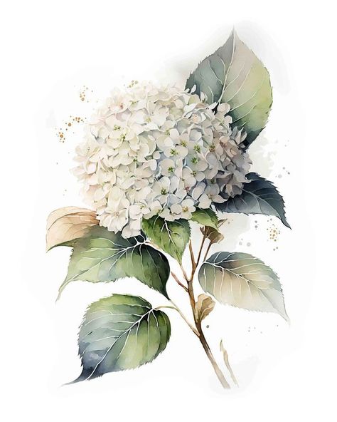 White Hydrangea, Hydrangea Flower, Digital Art Print, Watercolor Clipart, Digital Art Prints, Watercolor Flowers, Print Shop, Hydrangea, Blue Flowers