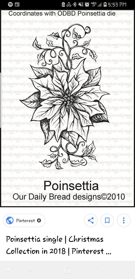 Poinsetta Tattoo Design, Pointsetta Tattoo Flower, Poinsettia Tattoo, Tattoo Style Drawings, Christmas Watercolor, Tattoo Idea, Lotus Flower Tattoo, Tattoo Style, Flower Tattoos