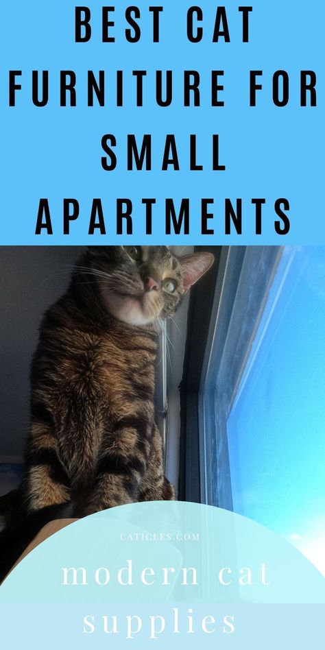 This is the complete list of modern furniture for a cat in a small apartment. These ideas will please all cats in small spaces! Get modern cat trees, furniture, comfy beds, and litter box enclosures that work for your apartment aesthetic. Learn how to make the most out of your cat supplies. These eco friendly and modern cat supplies will keep your cat happy and your home beautiful. No more crowded cheap cat stuff in your home! Use your space wisely with these enrichment ideas! #cattrees #catcare Cat Tree Small Space, Cat In Small Apartment Ideas, Apartment Cat Ideas Diy, Small Space Cat Ideas, Cat Friendly Furniture, Small Apartment Cat Ideas, Cat Friendly Apartment, Cat Set Up, Cat Home Ideas Indoor