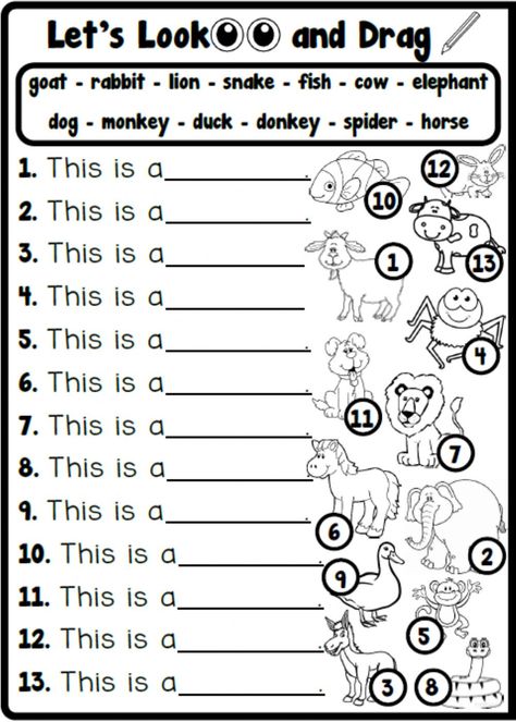 Esl Animals Worksheet, Animal Vocabulary Worksheet, Animal English Worksheet, English Animals Worksheet, Worksheet Animals For Kids, Animals Activity Preschool, Animal Worksheets Kindergarten, Animals For Kids Teaching, Animals Worksheet For Grade 1