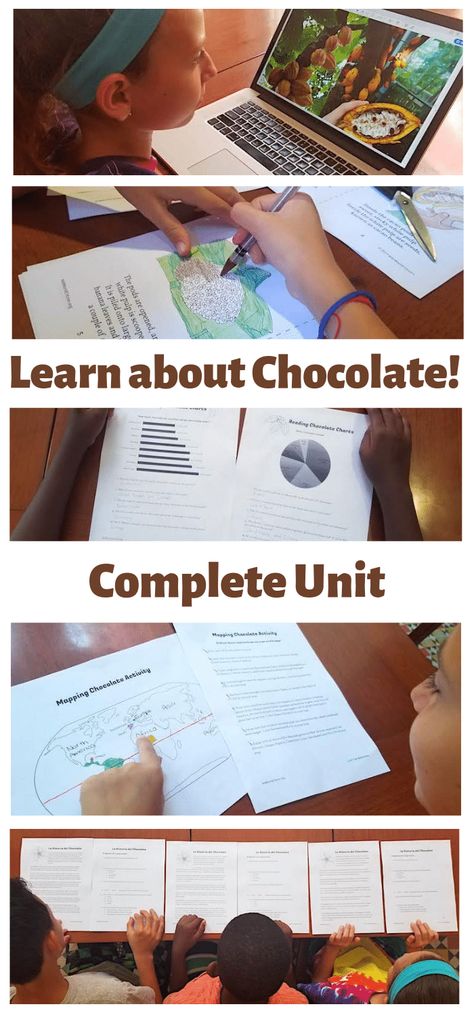 Botany Study, Chocolate Activities, Mexican Hot Chocolate Recipe, Culinary Basics, 39 Clues, The Chocolate Touch, Candy Science, Culinary Lessons, Cacao Fruit