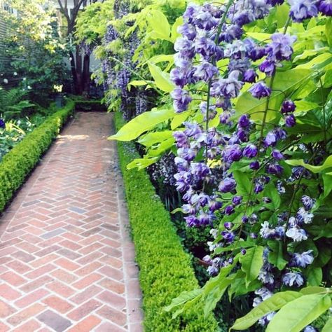 Side Yard Slope Walkways, Brick And Gravel Pathway, Brick Hardscape, Brick Walkways To Front Door, Brick Walkway Ideas, Brick Pathway Garden, Alley Landscape, Brick Garden Path, Iceberg Roses