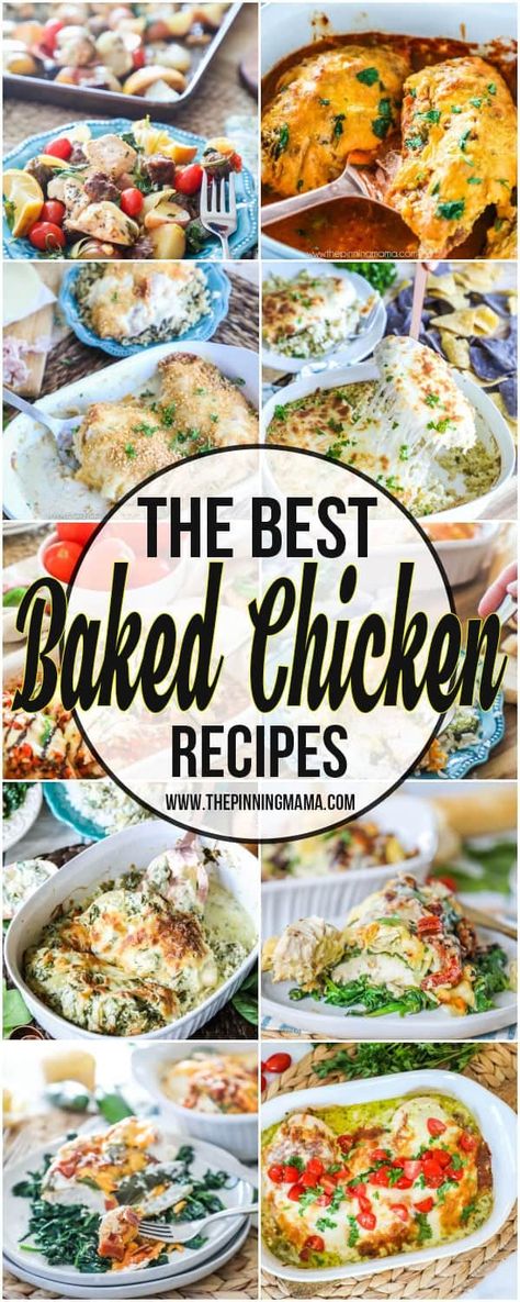 The BIG List of Baked Chicken Recipes • The Pinning Mama The Best Baked Chicken, Best Baked Chicken, Chicken Recipes For Dinner, Honey Glazed Ham, Mushroom Burger, Cooking Challenge, Recipes For Dinner, Baked Chicken Recipes, Copycat Recipes