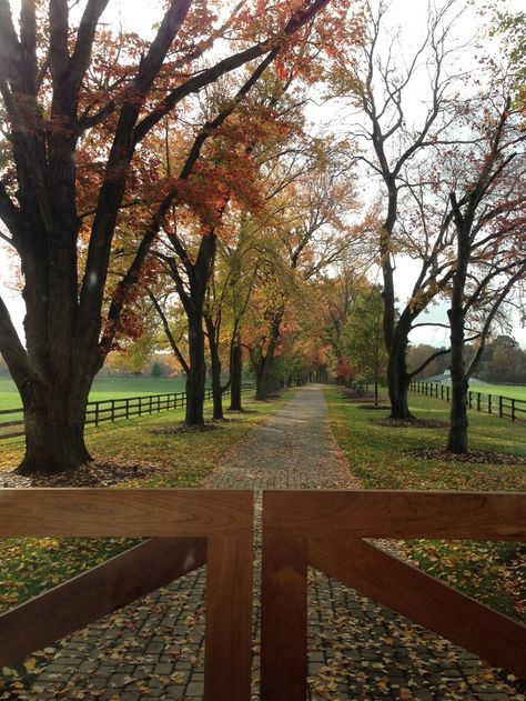 pretty equine drive way | Pretty fall driveway at a horse farm Long Drive Way With Trees, Autumn Prairie, Easy Outdoor Projects, Farm Property, Farm Estate, Dream Farmhouse, Dream Farm, Farm Lifestyle, Dream Life House