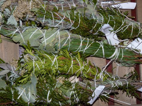 Smudge Sticks Diy, Blessed Yule, Yule Traditions, Cedar Smudge, Eastern White Cedar, Rosemary Sage, Mulling Spices, Sage Smudging, Native American Traditions