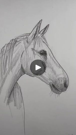 2.7K views · 99 reactions | #drawing #art #artist #sketch #illustration #artwork #draw #digitalart #painting #artistsoninstagram #sketchbook #fanart #drawings #instaart #anime #artoftheday #arte #love #design #portrait #sketching #digitaldrawing #ink #pencildrawing | Drawing Vd | Drawing Vd · Original audio Sketching Horses Pencil, Drawing Ideas With Tutorial, Draw Horses Easy, Sketching For Beginners Pencil, Pencil Drawings Easy For Beginners, How To Sketch A Horse, Easy Drawings Horse, Cute Pencil Drawings Easy, Drawing Horses Sketches Pencil