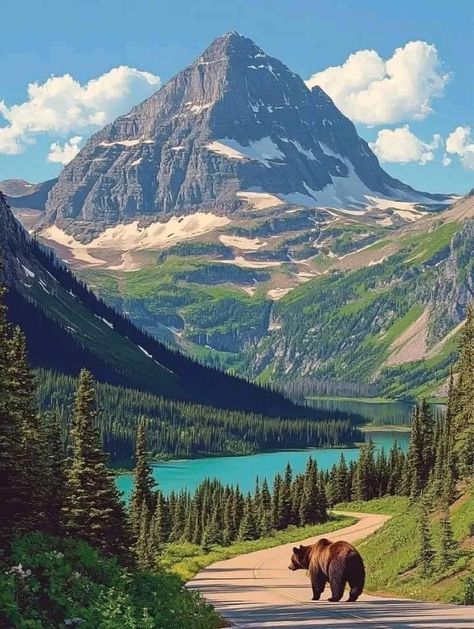 Alaska Landscape, Montana Glacier National Park, Mountains Montana, Alberta Travel, Mountain Landscape Photography, Glacier National Park Montana, Beautiful Landscape Photography, Beautiful Scenery Pictures, National Parks Trip