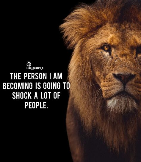 Lion Memes Motivation, Lion Quotes Inspiration Motivation, Lion Motivation Quotes, Never Underestimate Quotes, Lion Mindset, Underestimate Quotes, Motivational Quotes For Success Business, Lion Memes, Perfect Man Quotes