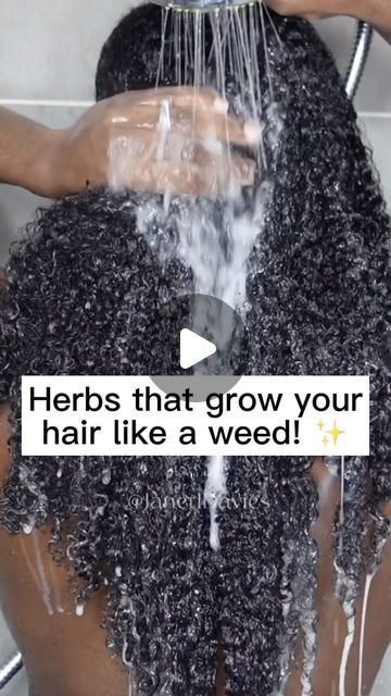 Indian Herbs For Hair Growth, Tea Rinse For Hair Growth, Hair Growth Juice, Hair Growth Tips For Black Women, Starter Locks, Hair Growth Remedies, List Of Herbs, Natural Hair Recipes, Hair Growth Methods