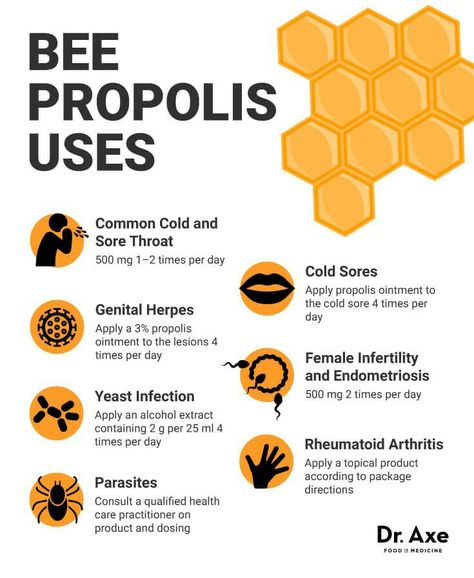 Bee Bread Benefits, Bee Propolis Uses, Propolis Benefits, Benefits Of Bee Propolis, Bee Propolis, Bee Vitality Supplements, Tomato Nutrition, Calendula Benefits, Stomach Ulcers