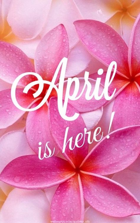 April Is Here! Hello April Birthday Month, Welcome April Wallpaper, Happy New Month April, Hello April Month, April Birthday Month, Hello April Quotes, April Images, Welcome April, New Month Wishes