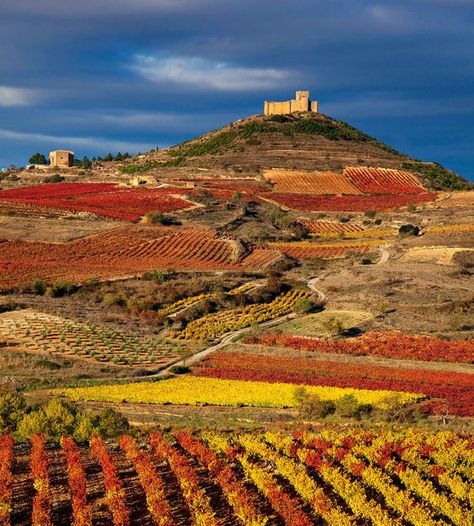 Autumn in La Rioja Spain, Best Places to Travel in the Fall, La Rioja Spain, rioja spain, rioja wine, rioja region, artmotivator, артмотиватор, travel in fall, fall travel, places for fall travel, fall vacations, travel destinations, most romantic places, quotes about wine, autumn aesthetic, fall aesthetic, spanish rioja, rioja wine region, rioja winery, wine tasting in rioja, best places to visit in spain, spain places to visit, northern spain, rioja vineyards, spanish holidays Rioja Wine, Rioja Spain, San Bartolome, Northern Spain, Voyage Europe, Basque Country, Visit Europe, Spain And Portugal, Beautiful Villages