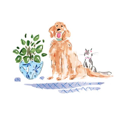 Vintage Golden Retriever Illustration, Golden Retriever Gouache, Watercolour Golden Retriever, Golden Retriever Watercolor Easy, Golden Retriever Watercolor Painting, Golden Retriever Print, Watercolor Golden Retriever, Dear Animal, Watercolor Pets