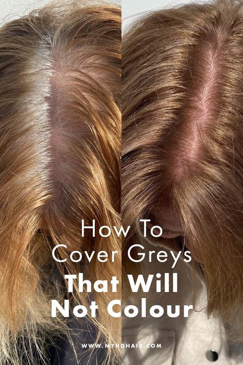 How To Cover Greys That Will Not Colour
Make a few tweaks to your Colouring routine to cover those stubborn Greys and tricky White Hairs. Blonde Hair Color To Cover Gray, Hair Dye To Cover Grey Hair, Hair Colour For Grey Hair, How To Color Grey Hair At Home, Best At Home Hair Color To Cover Gray, Blonde Hair To Cover Grey Hair, Best Color To Cover Grey Hair, Cover Grey Hair Brunette, Best Way To Cover Gray Hair Brunettes