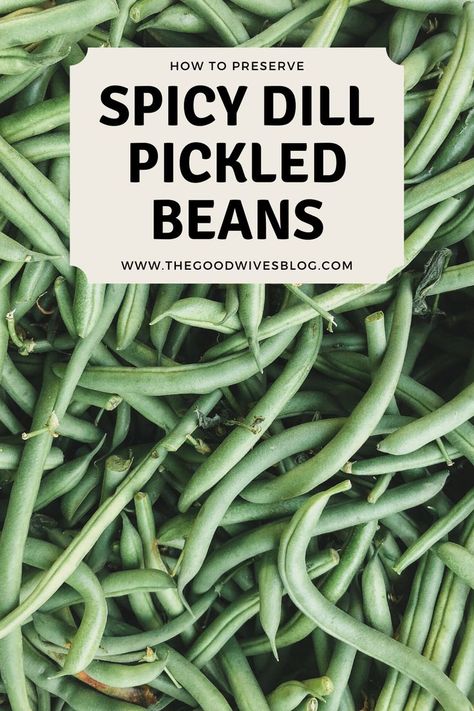 You will LOVE canning with this recipe for spicy dill pickled green beans. Crunchy and dilly with just a little kick. Perfect snack or add it to your caesars and bloody marys. Summer fresh beans all year long. Makes a yummy gift too! Printable tag included  #canning #preserving #pickledbeans #pickled #greenbeans #summerbeans #masonjars #dillpickled #summersnacks #giftablefood #printabletag Spicy Pickled Green Beans Canning, Spicy Dilly Beans Canning, Preserving Beans, Spicy Dilly Beans, Spicy Pickled Beans, Spicy Pickled Green Beans, Pickled Green Bean Recipes, Spicy Desserts, Crispy Green Beans