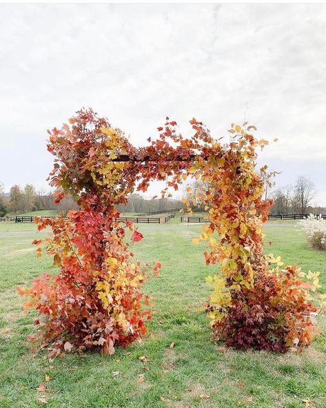 Pumpkin Patch Photoshoot, Bridal Bouquet Spring, Wedding Ceremony Arch, Ceremony Arch, Event Flowers, Floral Arch, Wedding Aisle, Wedding Flower Arrangements, Wedding Mood