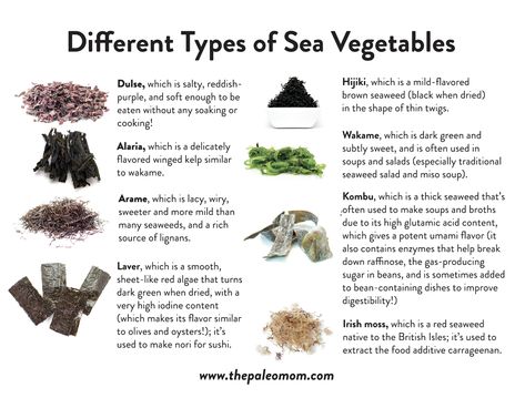 The Health Benefits of Sea Vegetables ~ The Paleo Mom Sea Vegetables Recipes, High Estrogen, The Paleo Mom, Menstrual Phase, Food Alternatives, Edible Seaweed, Vegetable Diet, Paleo Mom, Low Estrogen Symptoms