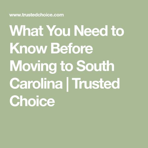 Moving To South Carolina, South Carolina Travel, Palmetto State, Columbia South Carolina, Moving Checklist, Greenville South Carolina, Country Roads Take Me Home, What The Hell, Southern Hospitality