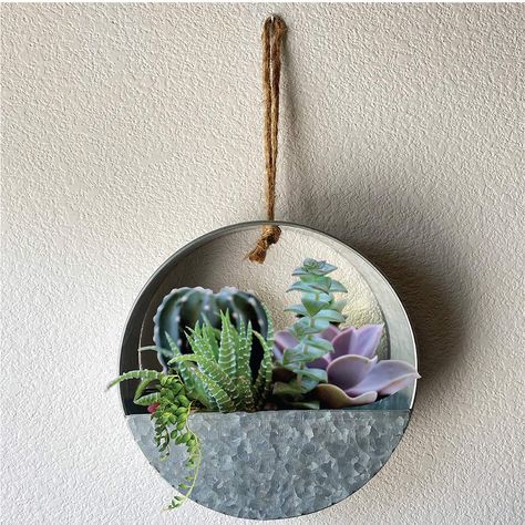 Lily’s Home Indoor Wall Hanging Circular Planter for Succulents, Cacti, Herbs, Faux Plants, Galvanized Metal. Plants Not Included. 8.25" Diameter: Amazon.ca: Home & Kitchen Galvanized Wall Planter, Galvanized Wall, Hanging Wall Vase, Rustic Cottage Style, Metal Wall Planters, Country Style Interiors, Hanging Wall Planters, Garden Walls, Ceramic Flower Pots