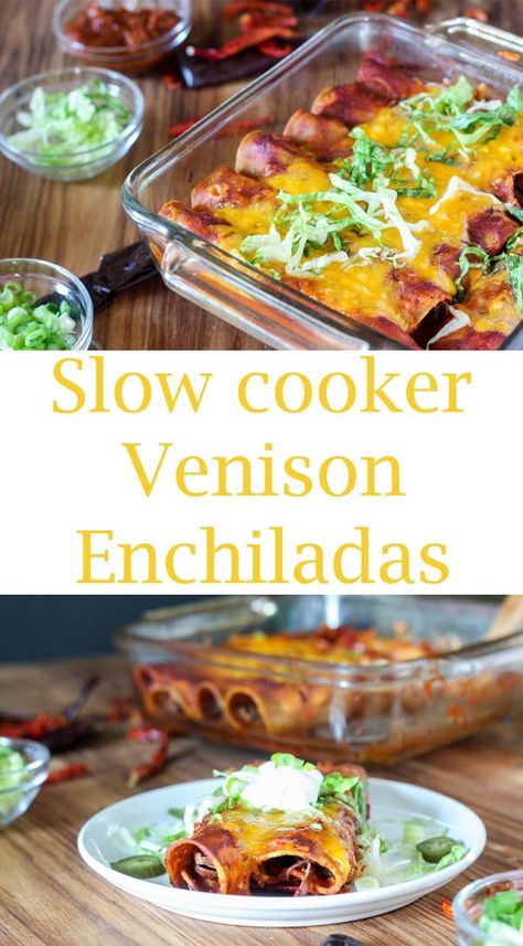 Enchiladas are made with carnitas that are slow cooked to tender perfection and authentic red enchilada sauce! #venisonenchiladas #venisoncarnitas #venisonrecipes #mexicanrecipes #enchilada #cincodemayo #Mexicancuisine #binkysculinarycarnival Venison Enchiladas, Authentic Red Enchilada Sauce, Mexican Food Recipes Enchiladas, Slow Cooker Venison, Venison Roast, Mexican Chicken Recipes, Red Enchilada Sauce, Venison Recipes, Mexican Food Recipes Easy