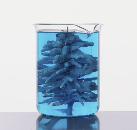 In this simple chemistry demonstration you'll grow a silver crystal tree. It's the perfect chemistry project for Christmas! Christmas Chemistry, Chemistry Christmas, Copper Christmas Tree, Chemistry Project, Chemistry Projects, Project Topics, Growing Crystals, Copper Christmas, Crystal Christmas Tree