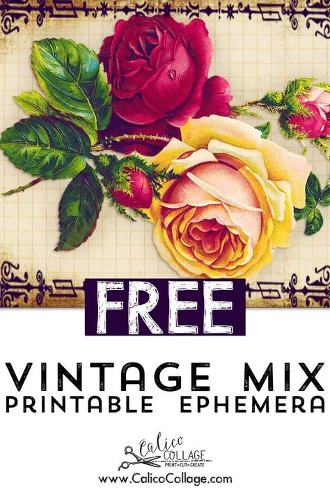 Free Vintage Mix Printable Ephemera Free Printable Vintage Recipes, Vintage Ephemera Printable, Free Printable Journal Cards, Vintage Labels Printables Free, Vintage Labels Printables, Ephemera Journal, Journal Printables Free, Decoupage Printables, Free Collage