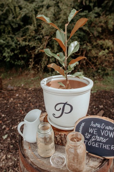 Wedding Tree Unity Ceremony, Unity Plant Ceremony Wedding Trees, Wedding Ceremony Ideas Unity Unique Tree Planting, Potted Plant Wedding Ceremony Decor, Tree Ceremony Wedding Unity, Cute Unity Ideas For Wedding, Instead Of Unity Candle Ideas, Tree Unity Ceremony Wording, Wedding Ceremony Unity Ideas Unique