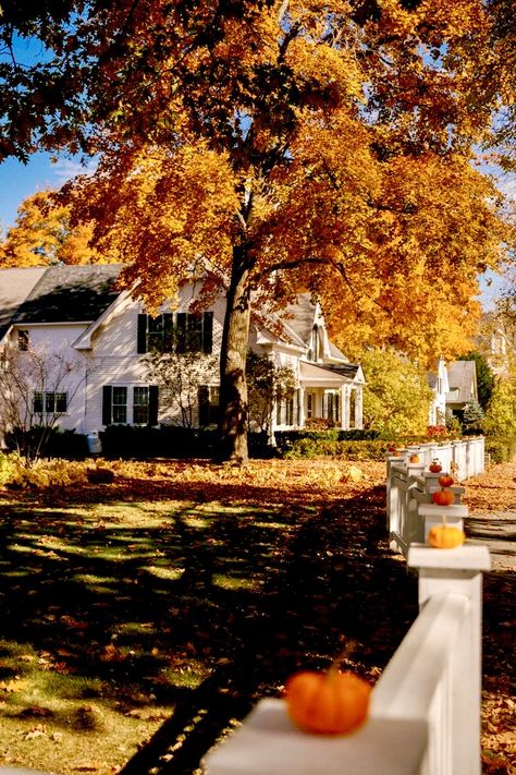 Woodstock Vermont, New England Fall, Fall Decor Ideas, Autumn Scenery, Best Seasons, Autumn Beauty, Fall Pictures, Autumn Cozy, Autumn Aesthetic