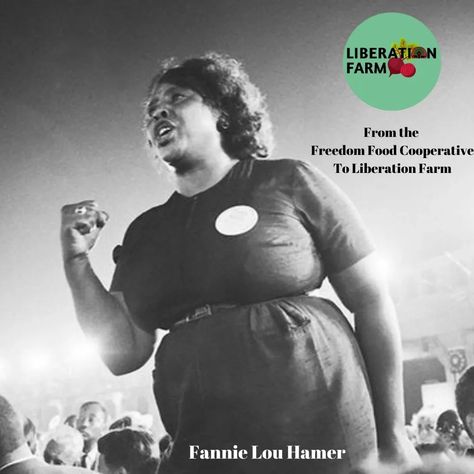 LiberationFarm Fannie Lou Hamer, Civil Rights Activist, Civil Rights Leaders, History Timeline, Civil Rights Movement, Southern Belle, Civil Rights, Book Of Life, History Books