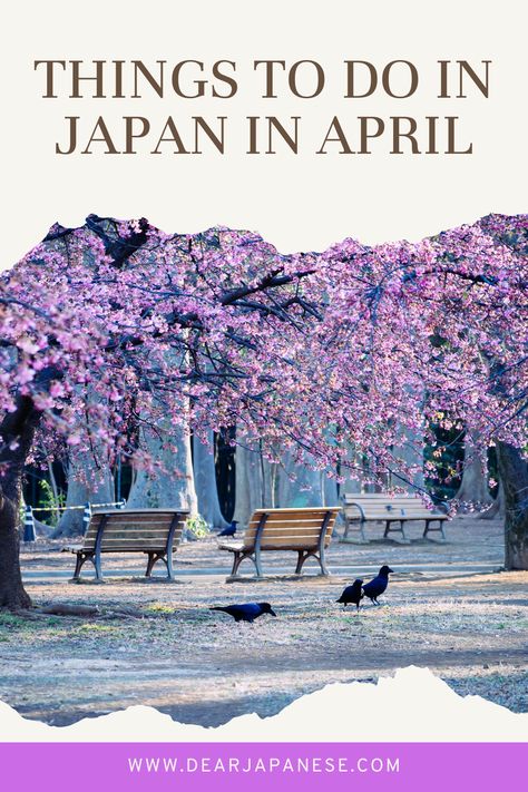 Things to Do in Japan in April Japan Spring Festival, What To Wear In Japan In April, Spring In Tokyo, Asia Honeymoon, Japan In April, Tokyo Things To Do, April Travel, Japan Visit, Japan Places To Visit