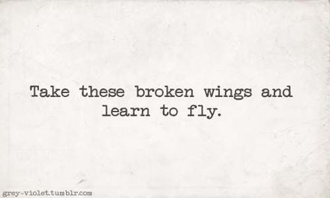 Foo Fighter Quotes Lyrics, Foo Fighters Quotes Lyrics, Learn To Fly Foo Fighters, Sing Lyric Tattoos, Foo Fighters Inspired Tattoos, Foo Fighters Tattoo Lyrics, Foo Fighters Aesthetic, Beatles Lyrics Tattoo, Foo Fighters Quotes