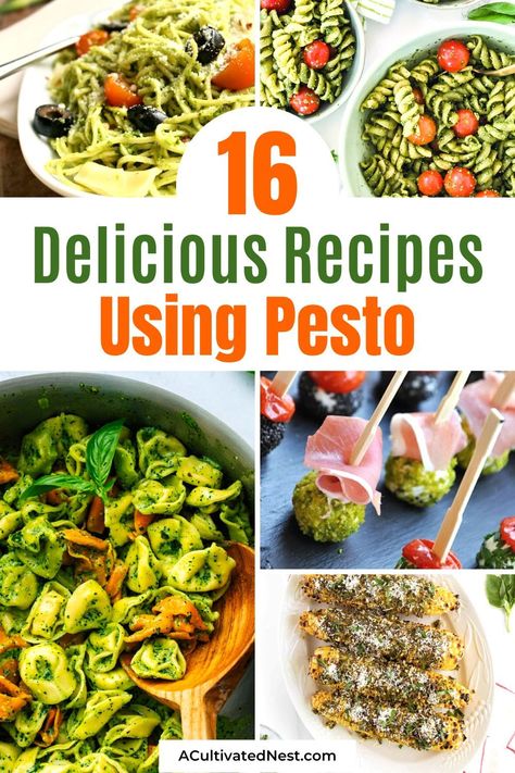 16 Delicious Ways to Use Pesto- Dive into the world of pesto with our handpicked selection of delicious ways to use pesto. Whether you're a seasoned cook or a kitchen novice, these pesto-infused dishes are sure to impress and leave you wanting more! | #recipes #pesto #dinner #pastaRecipes #ACultivatedNest Ways To Use Pesto, Pesto Dinner, Recipes Using Pesto, Recipes Pesto, Pesto Uses, Chicken Lasagna Rolls, Pesto Dishes, Garlic Scape Pesto, Raw Sweet Potato