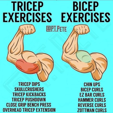 Reverse Curls, Overhead Tricep Extension, Tricep Pushdown, Big Arms, Tricep Kickback, How To Get Bigger, Getting Stronger, Bigger Arms, Tricep Extension