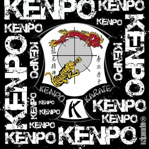 Kenpo Kenpo Karate, Martial Artist, Karate, Martial Arts, Iphone, Quick Saves, Art, Martial Artists