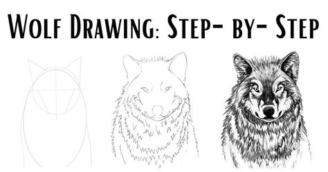 Wolve's are magnificent creatures and are one of my favorite animals by far. In this article, I have included two tutorials to help you do your own wolf drawing. Wolf Drawing Tutorial, Easy Objects To Draw, Animal Art Drawing, Draw A Wolf, Around The Fur, Wolf Eyes, Wolf Face, Wolf Drawing, Favorite Animals