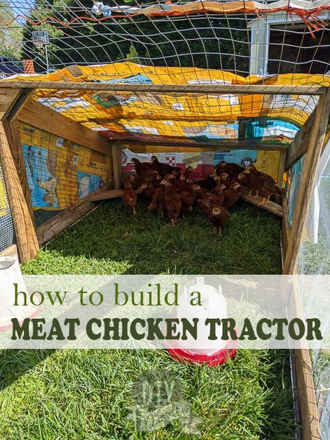 Chicken Tractor For Meat Chickens, Meat Bird Tractor, Meat Chicken Coop Ideas, Meat Bird Chicken Tractor, Chicken Tractor Diy, Chicken Runs Ideas, Chicken Runs Ideas Pens, Chicken Tractor Ideas, Easy Clean Chicken Coop