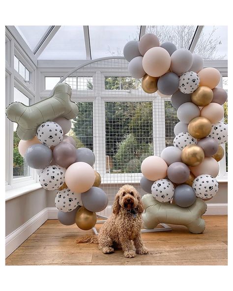 🐾 Bertie 🐾 . . . When the CEO turns four we go all out .. 🎈. Woods, bath and a steak dinner for our fur baby! Any excuse to try out our… Dog Party Decorations, Dog Themed Birthday Party, Dog Baby Shower, Dog Themed Parties, Puppy Birthday Parties, Animal Birthday Party, Dog Birthday Party, Puppy Birthday, Dog Party