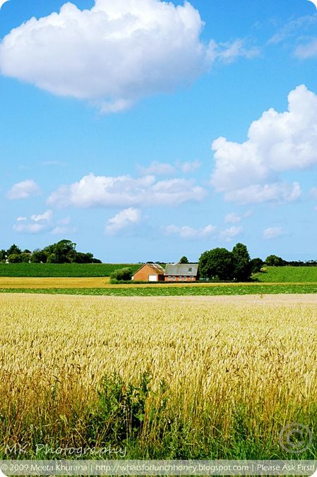 Denmark Denmark Countryside, Danish Countryside, Denmark Landscape, Denmark Summer, Danish Culture, Kingdom Of Denmark, Summer View, Visit Denmark, Scandinavian Countries