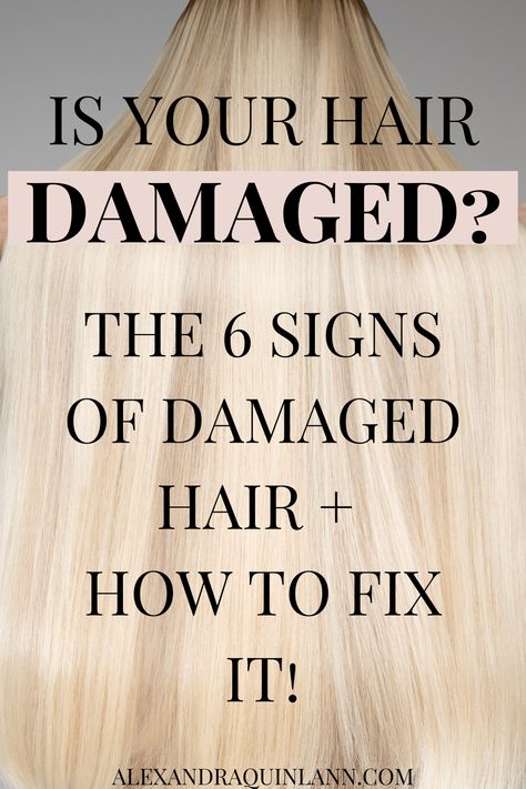 Bleach Damaged Hair, Hair Breakage Remedies, Fried Hair, Products For Damaged Hair, Knotty Hair, Heat Damaged Hair, Stop Hair Breakage, Damage Hair Care, Bleaching Your Hair