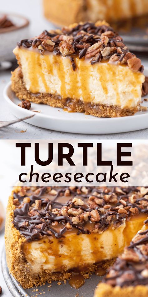 Even if you’ve never baked before, you will become a turtle cheesecake pro when you follow my easy step-by-step recipe and learn my tips for baking a cheesecake in a water bath. Your friends and family will RAVE about this turtle cheesecake recipe! Chocolate Turtle Cheesecake, Turtle Dessert, Turtle Cheesecake Recipes, Chocolate Turtle, Dessert Restaurants, Turtle Cheesecake, Cheesecake Recipes Classic, How To Make Cheesecake, Rich Desserts