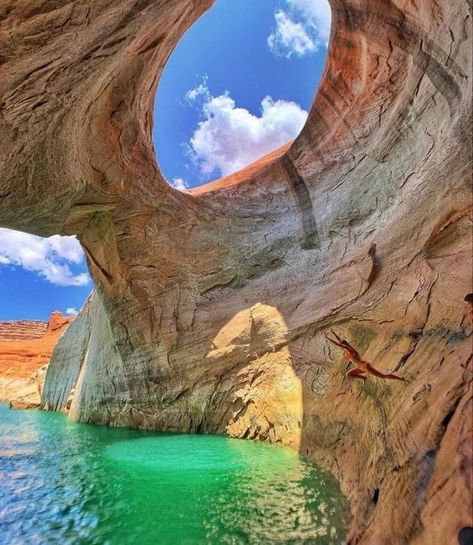 Ideology Brenna Lake Powell Arizona, Arizona Lakes, Salt City, Route 66 Road Trip, Glen Canyon, Lake Powell, Arizona Usa, Summer Pictures, Travel Inspo