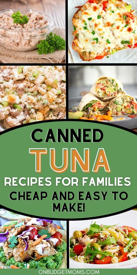 Can Tuna Recipes Healthy, Tinned Tuna Recipes, Tuna Dinner Recipes, Canned Fish Recipes, Tuna Lunch, Easy Tuna Recipes, Healthy Tuna Recipes, Tuna Dinners, Tuna Dishes